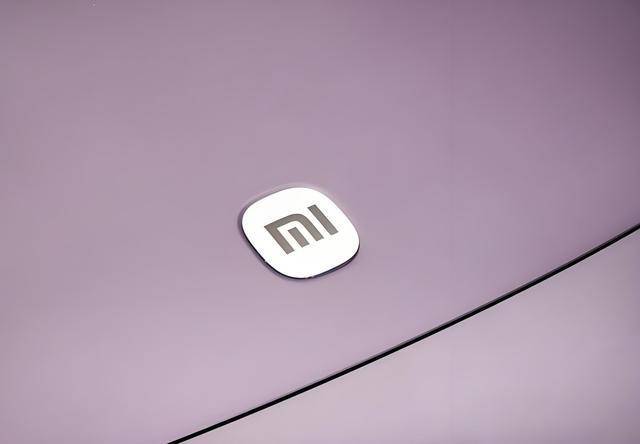 2024汽車銷量榜單出爐,比亞迪特斯拉等誰領風騷?