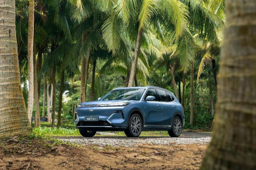 2025首周,吉利給比亞迪一個下馬威