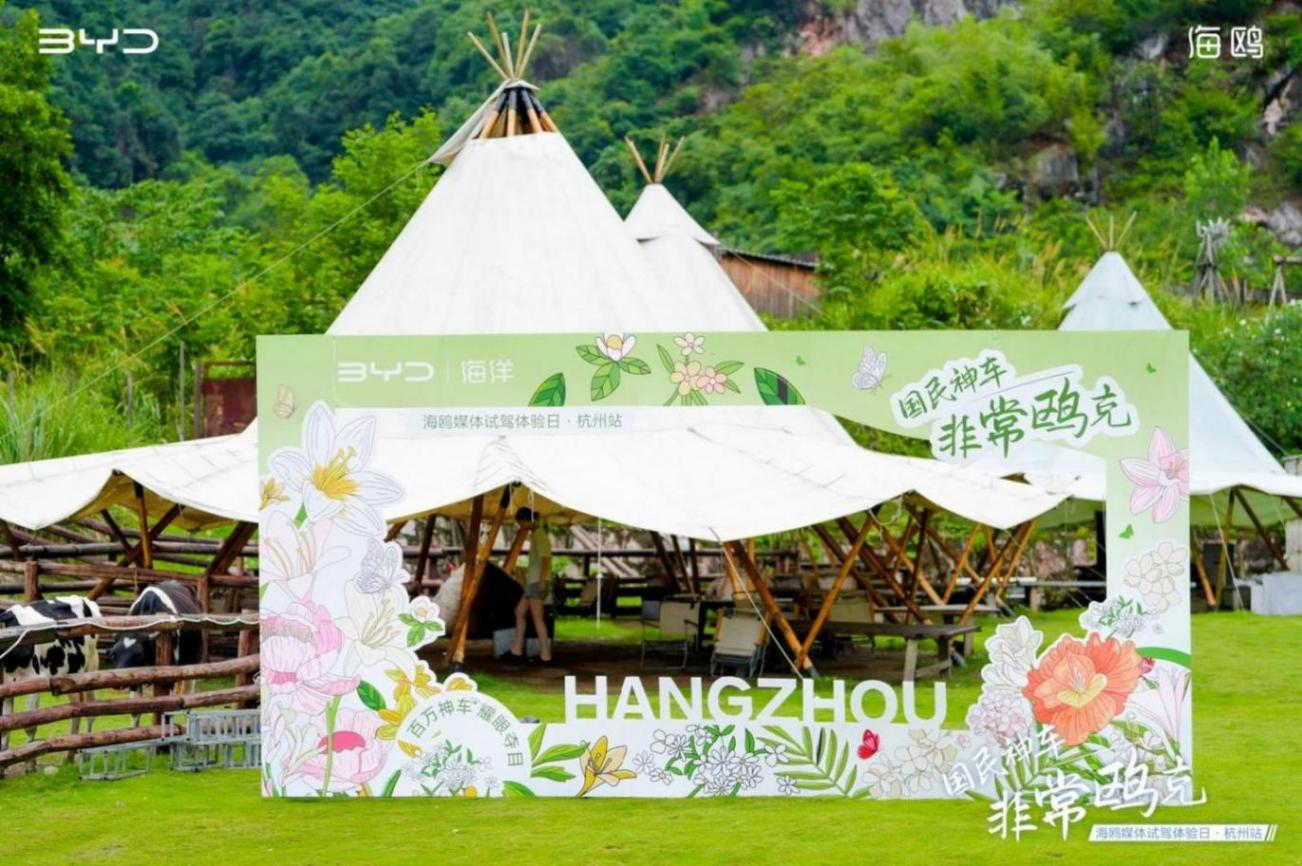 靈動好看 實用好開 比亞迪海鷗“非常鷗克”