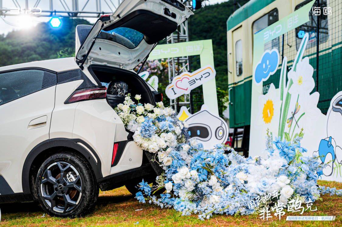 靈動好看 實用好開 比亞迪海鷗“非常鷗克”