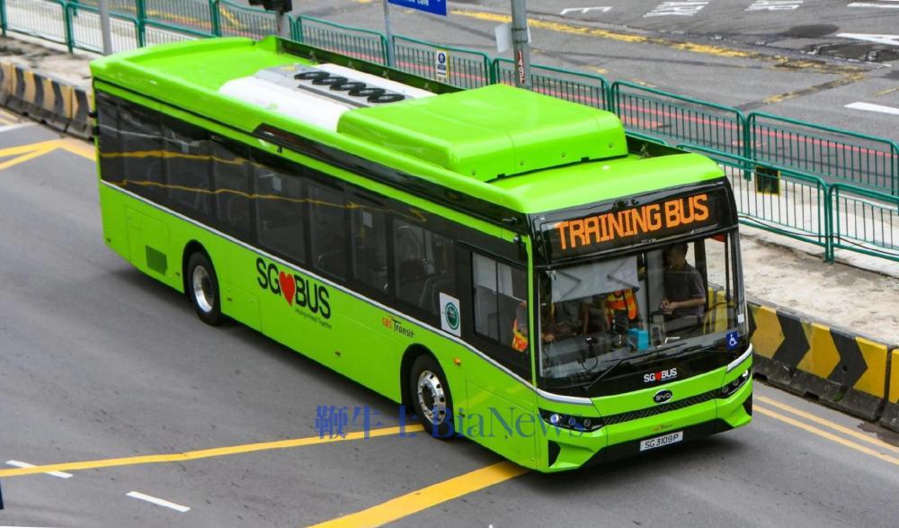 比亞迪:中標新加坡首個L4級智駕巴士試點項目